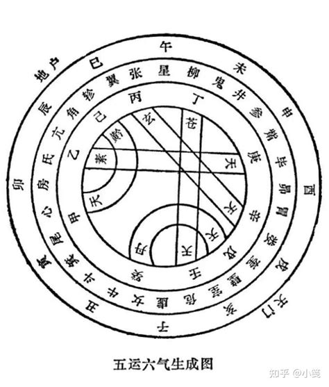 丁壬化木|丁壬合化木是什么意思？丁壬合化木是什么命？